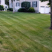 Lawn Mowing